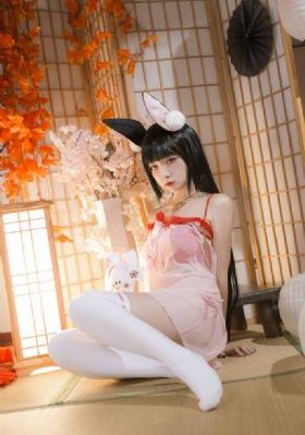 星河影视免费观看_HD免费全集观看